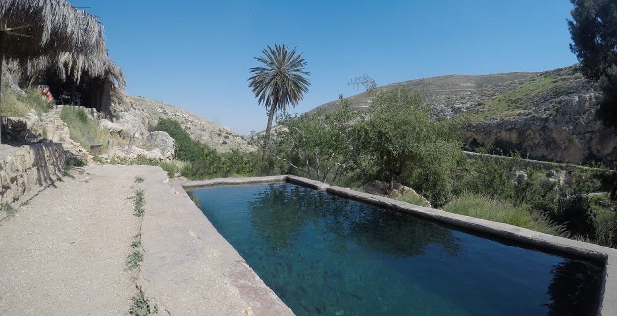 שמורת הטבע נחל פרת - בריכת התמר