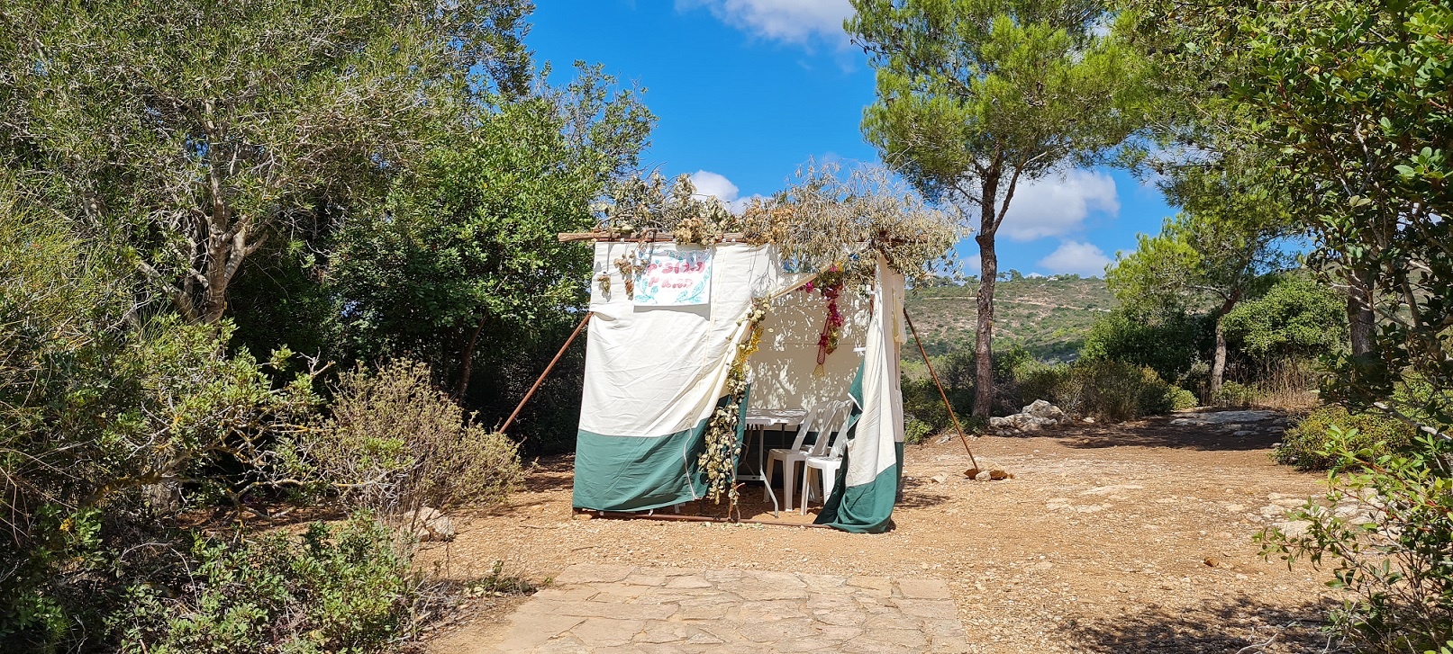 סוכות- כל הפעילויות, פסטיבלים והאטרקציות