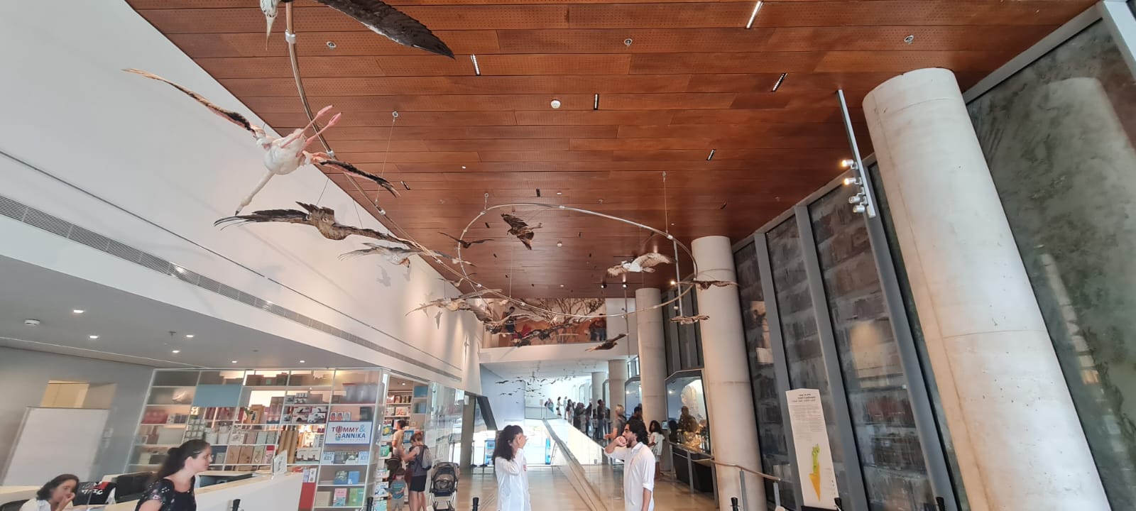 מוזיאון הטבע ע"ש שטיינהרדט באוניברסיטת תל אביב