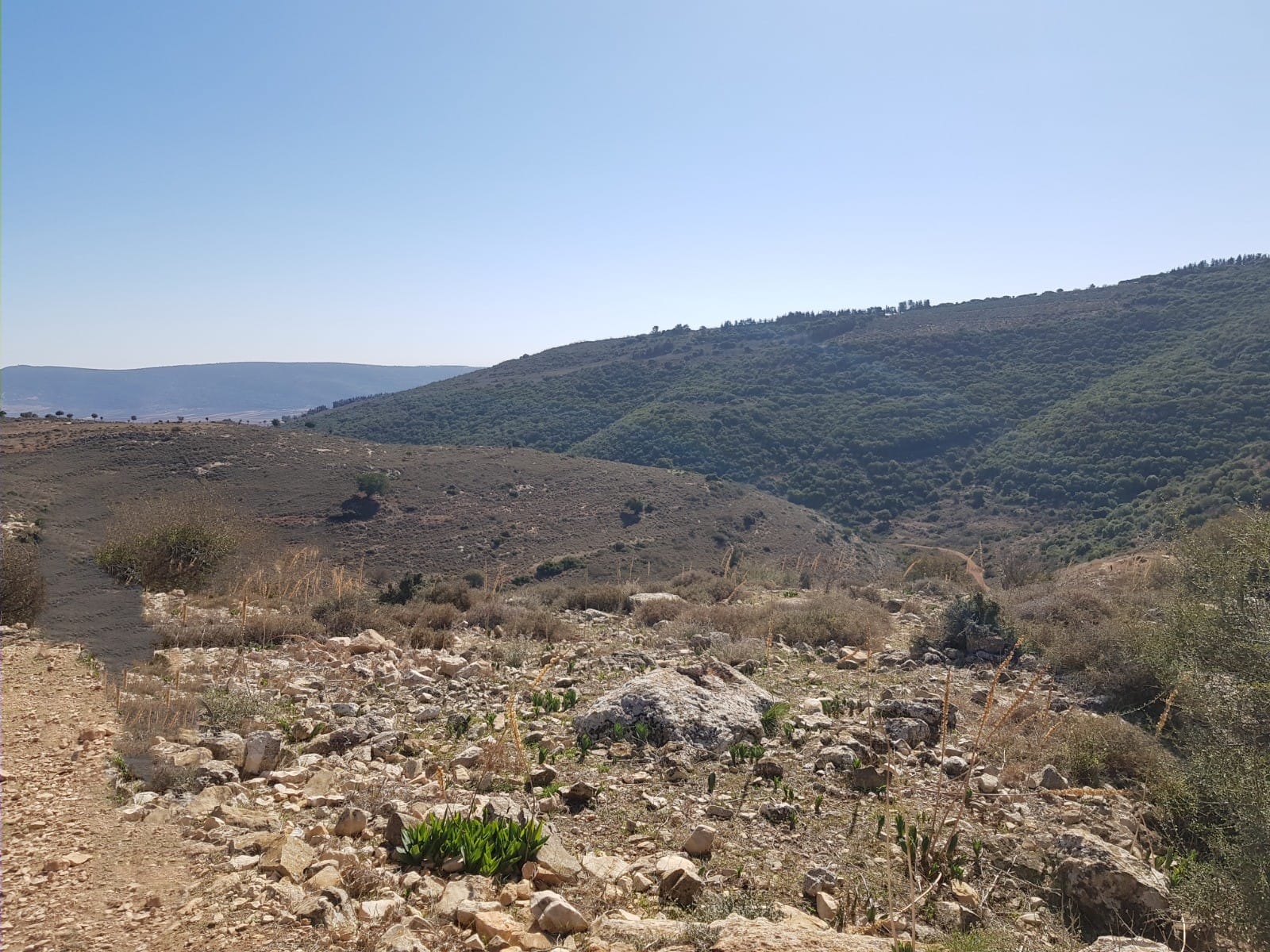 שמורת הטבע הר עצמון