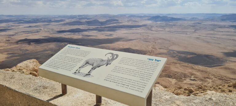 מצפור ברק ועמיחי – תצפית למכתש רמון