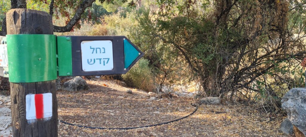 שמורת טבע נחל קדש
