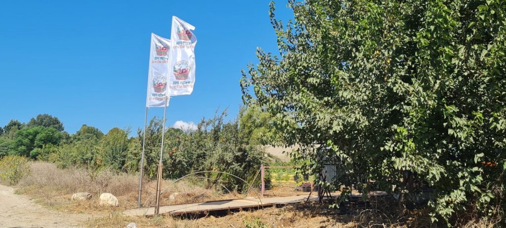 קטופותי – קטיף חקלאי בבית לחם הגלילית