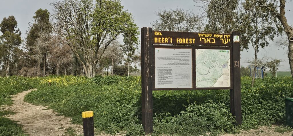 הכניסה ליער בארי