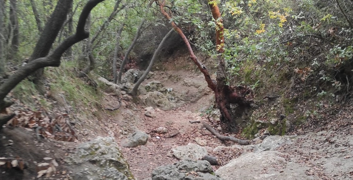 נחל חיק למחצבות קדומים - הר הכרמל
