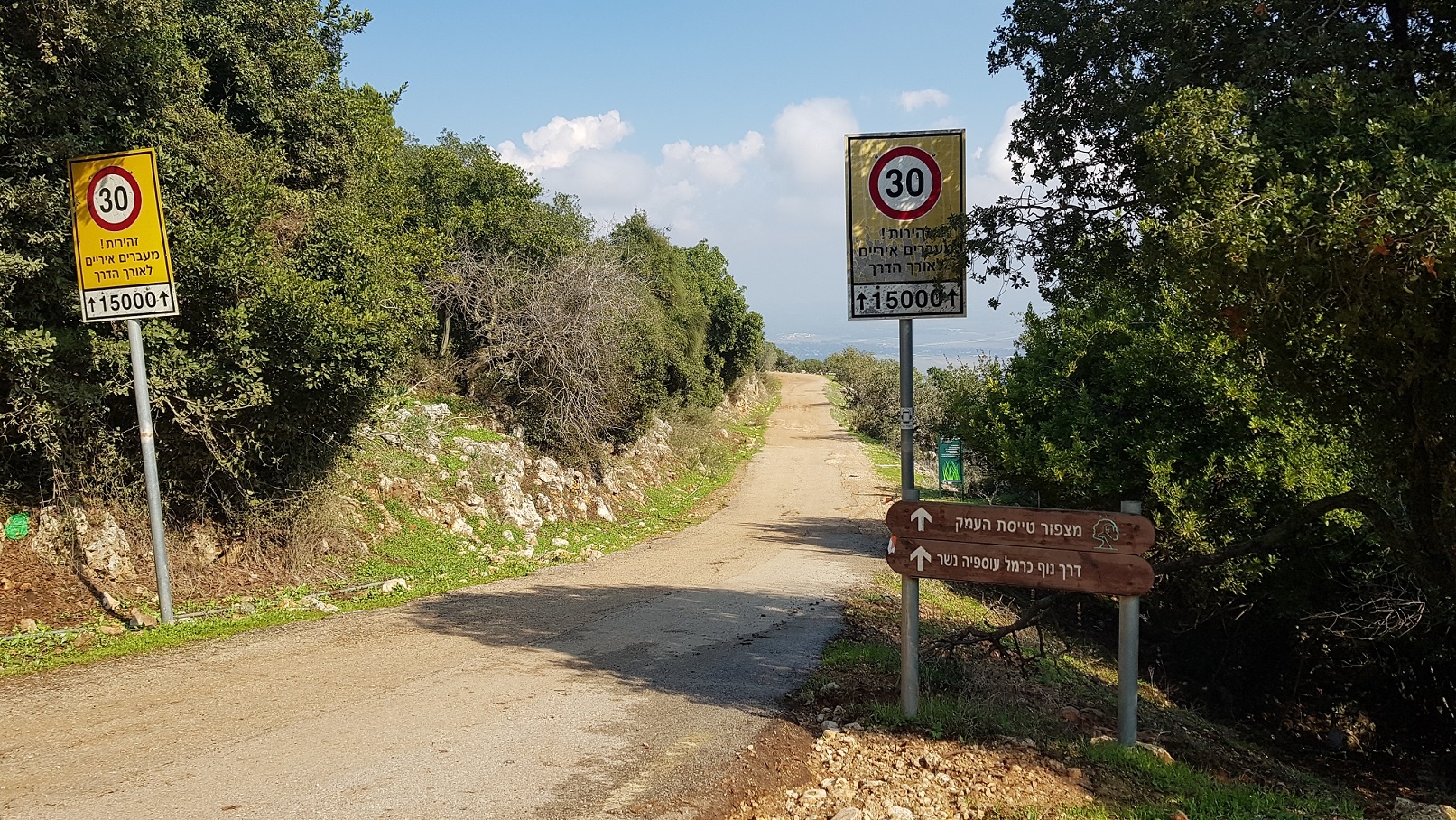 דרך נוף הכרמל