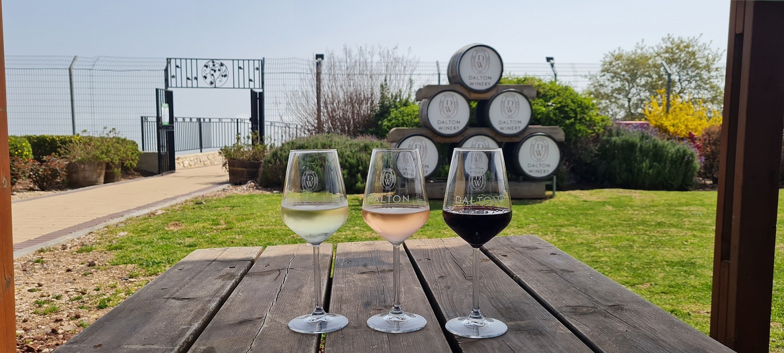 יקב דלתון - 5 יקבים בצפון ישראל - חוויה של יין, נוף וטבע