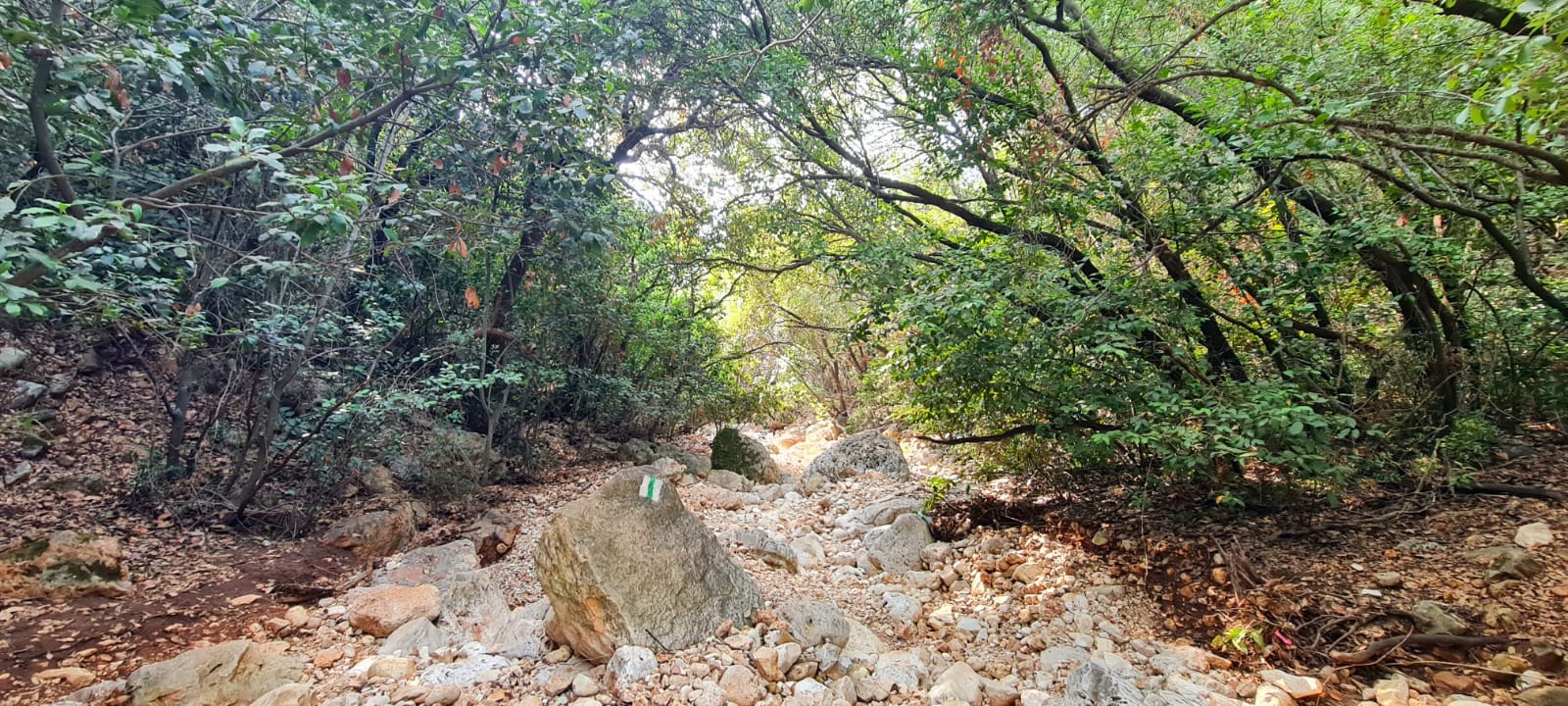 שמורת טבע נחל יחיעם