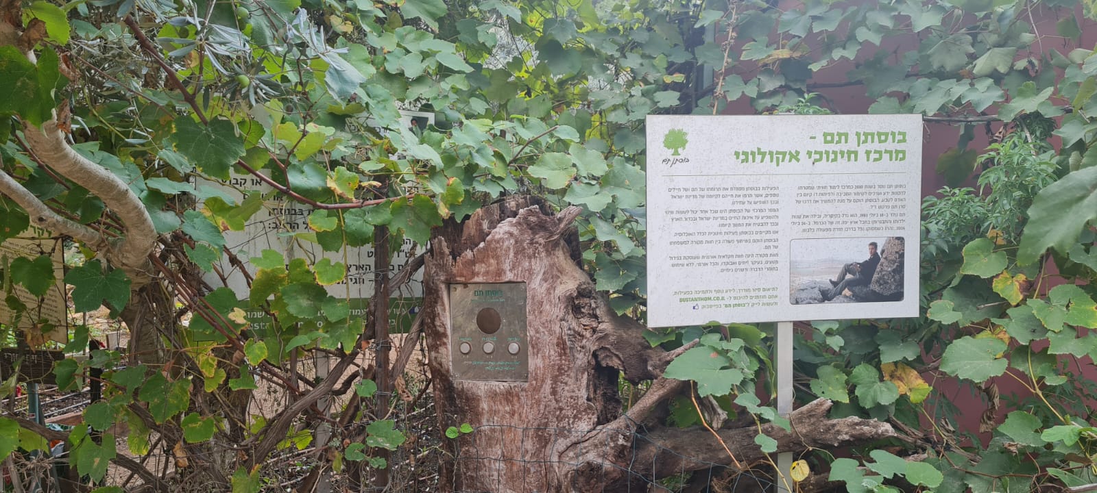 בוסתן תם – כרם מהר"ל