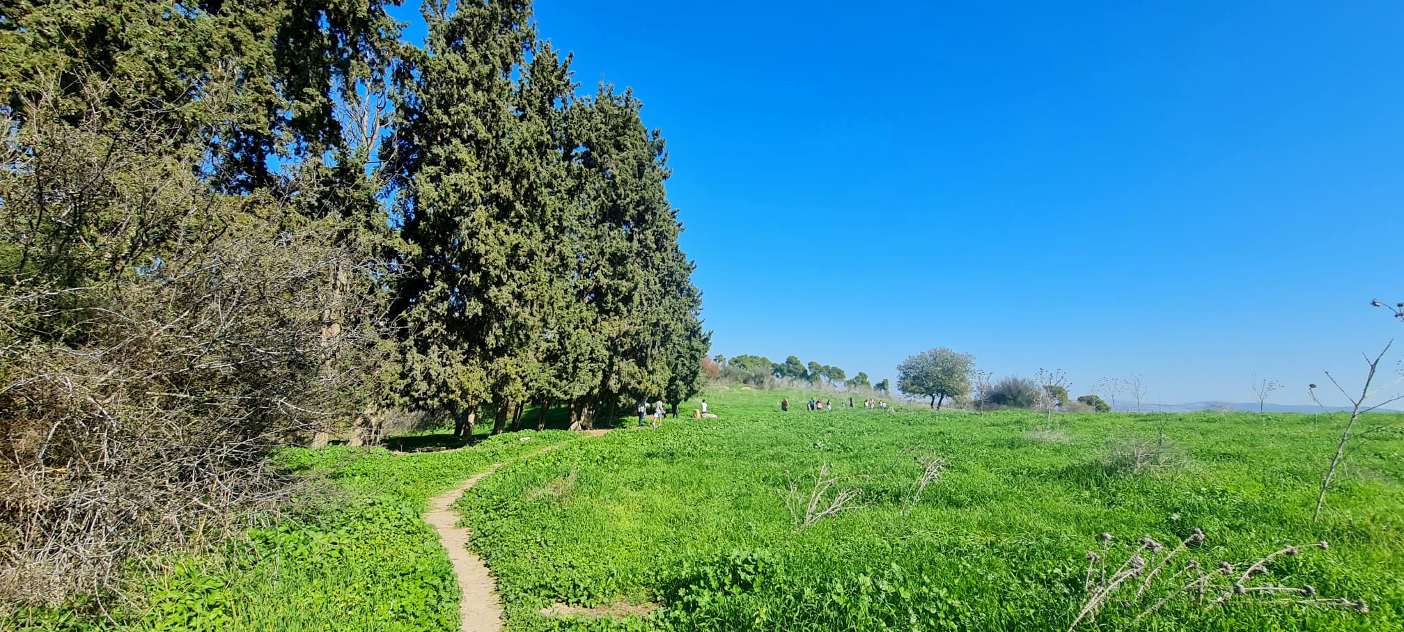 שביל אילן – אתר הנצחה לזכר אילן גבאי