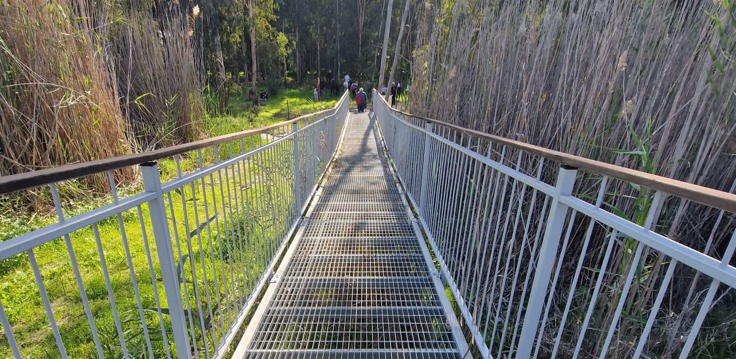 שמורת טבע מעיינות גיבתון