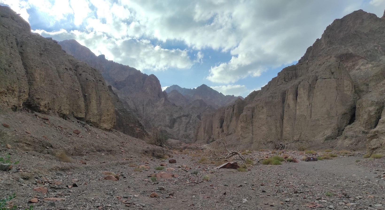 נחל נטפים - הרי אילת