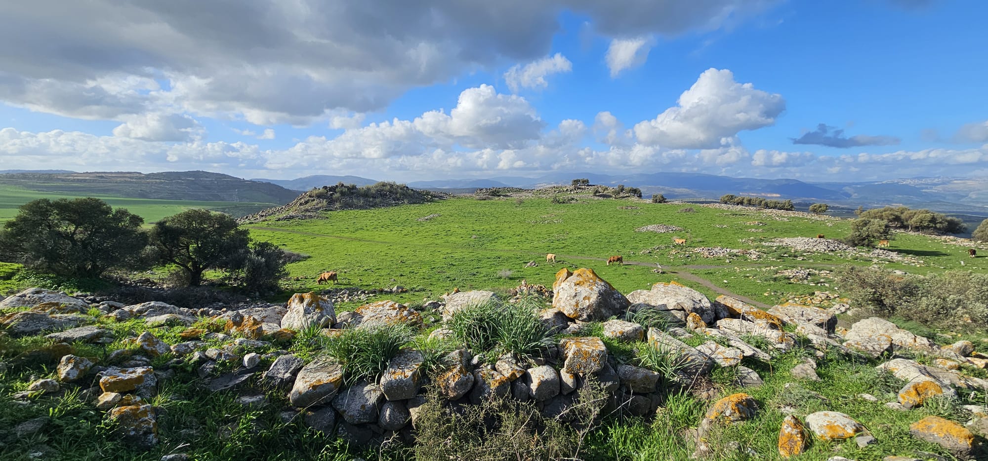 גן לאומי קרני חיטין