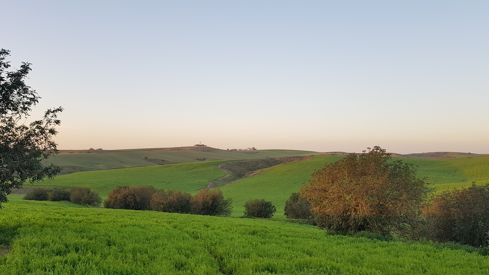 שמורת טבע חרבת ג'ממה