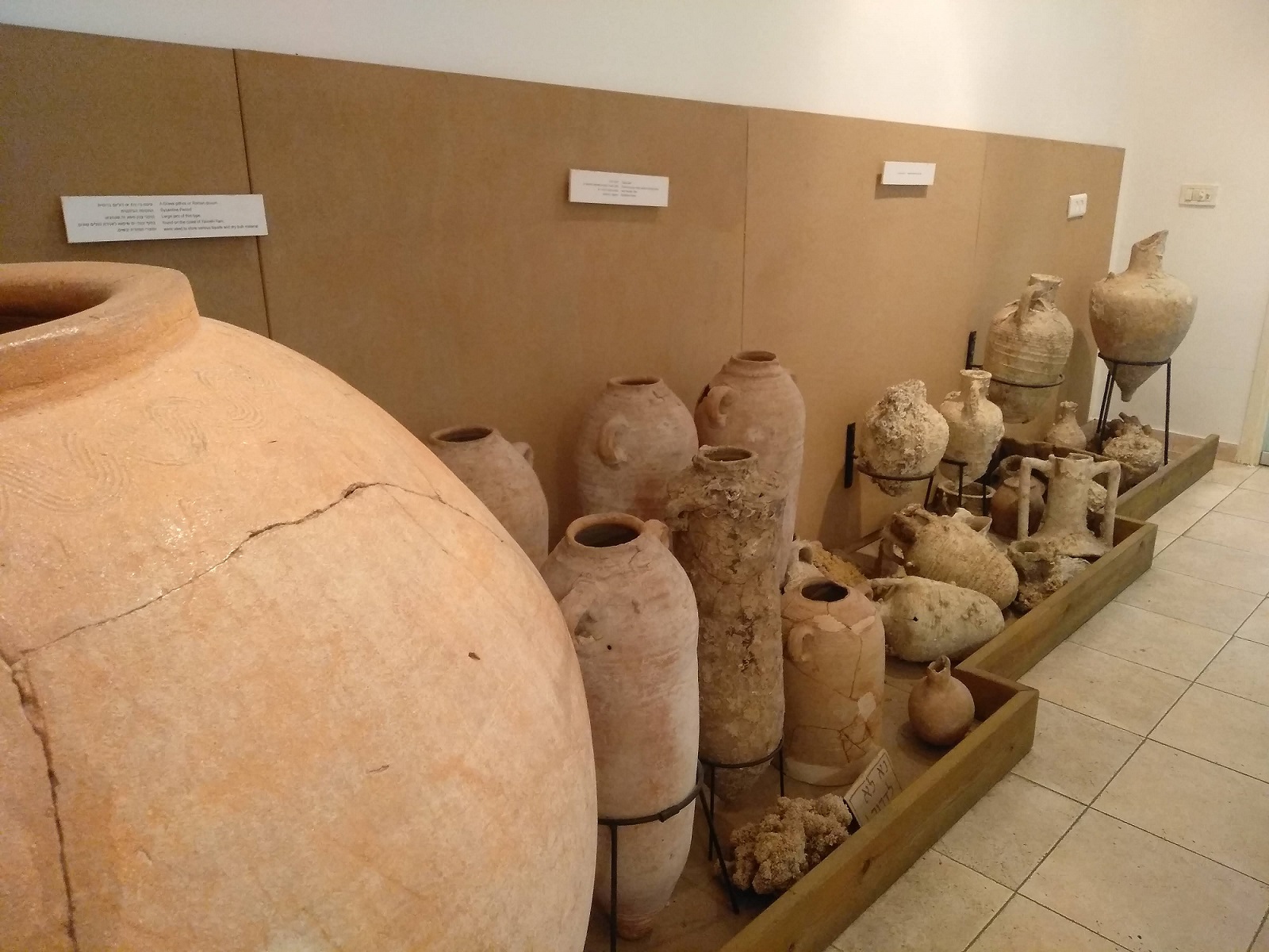 התמונות באדיבות: מוזיאון הים ומלואו קיבוץ פלמחים