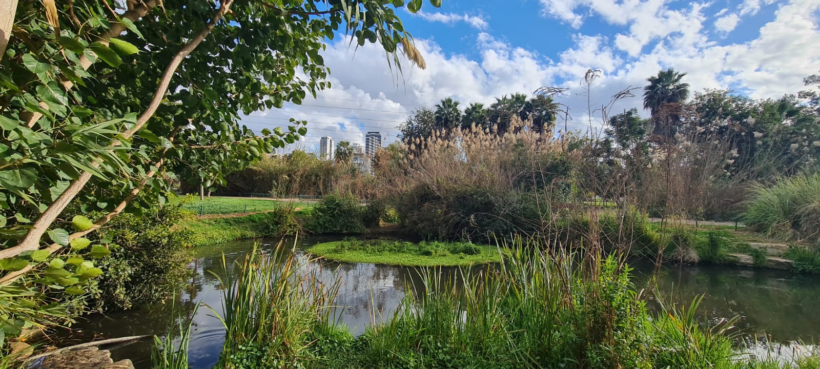 אתר שבע טחנות גני יהושע פארק הירקון