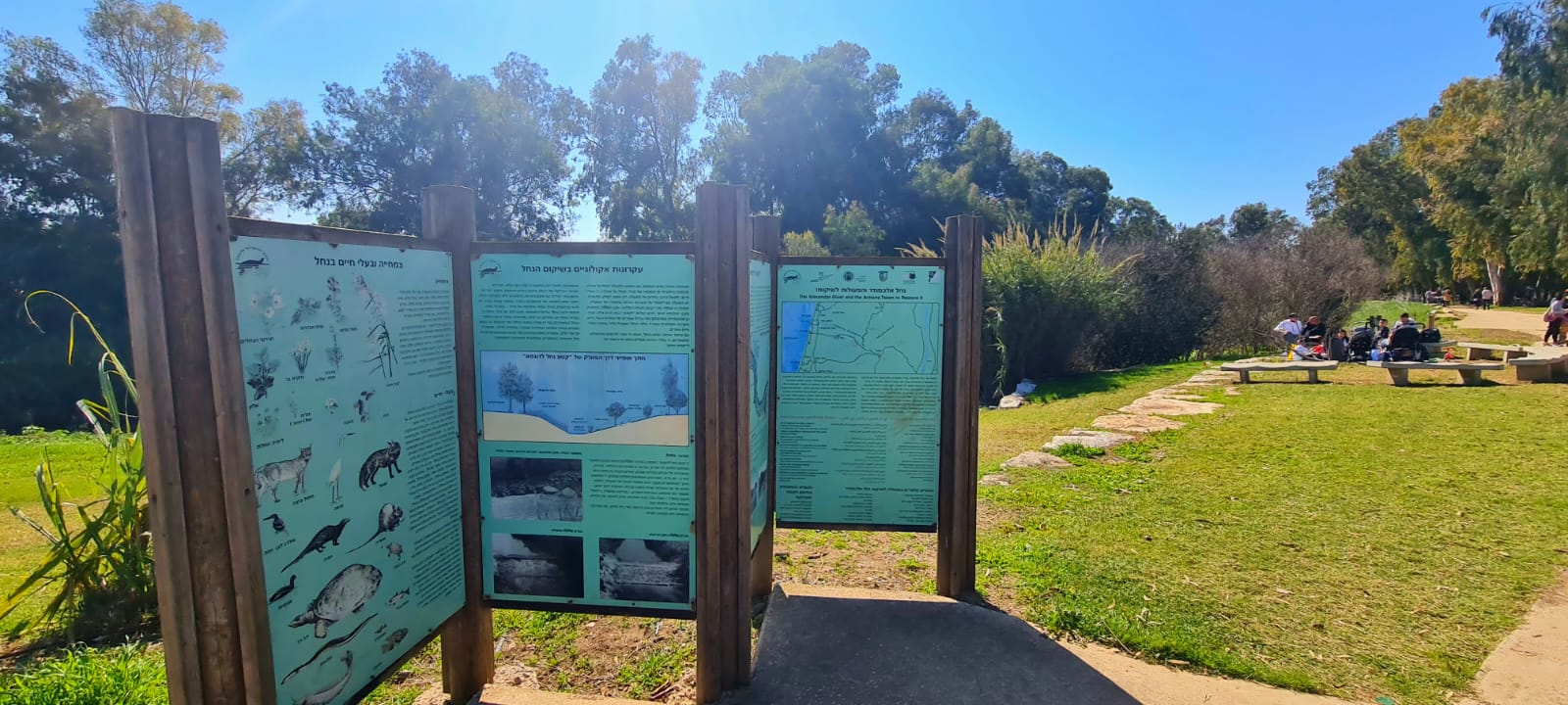 מסלול נגיש מפארק איטליה לגשר הצבים בנחל אלכסנדר