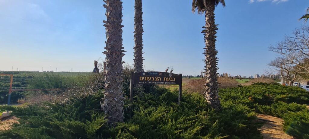 גבעת הצבעונים בחדרה