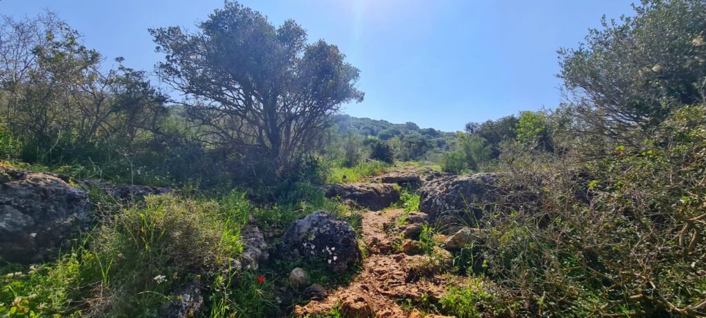 שביל האחוזה - רמת הנדיב