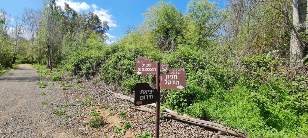 חלקו התחתון של נחל חרמון - מנבי יהודה עד לגשר יוסף
