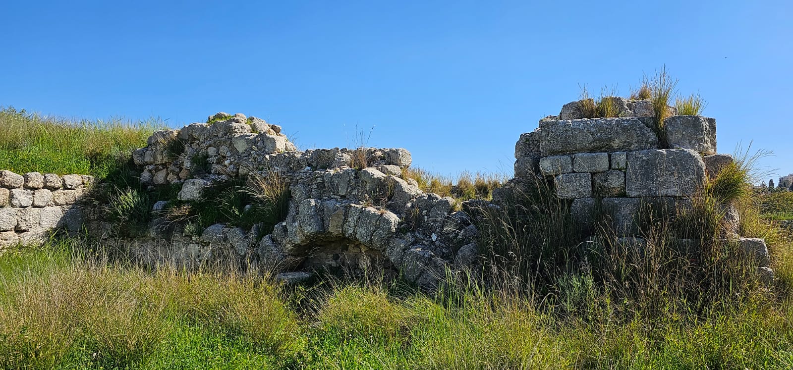 גן לאומי תל בית שמש: בין עתיקות ופריחה