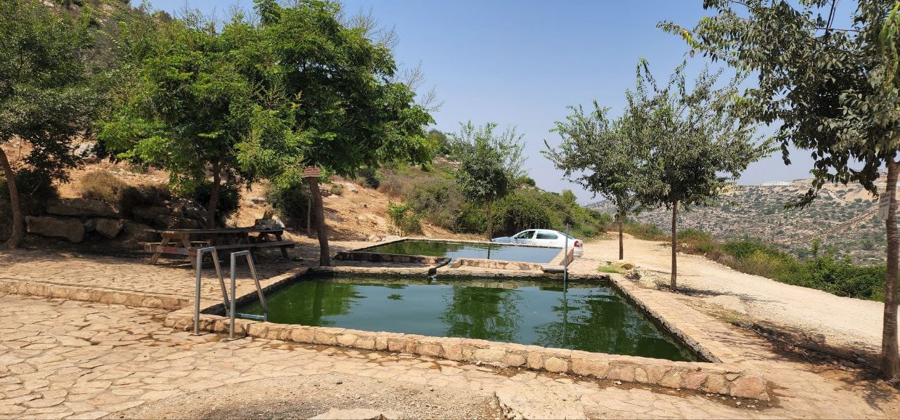 מעיין עטרת - צילום חיים חבשוש