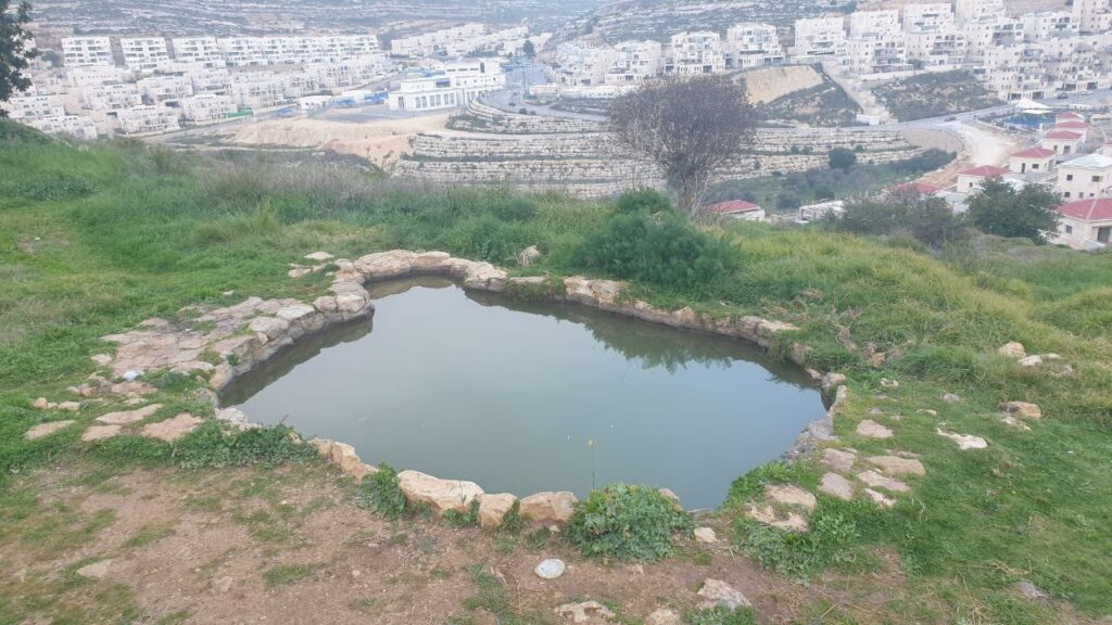מעיין דביר בגבעת זאב - צילום חיים חבשוש