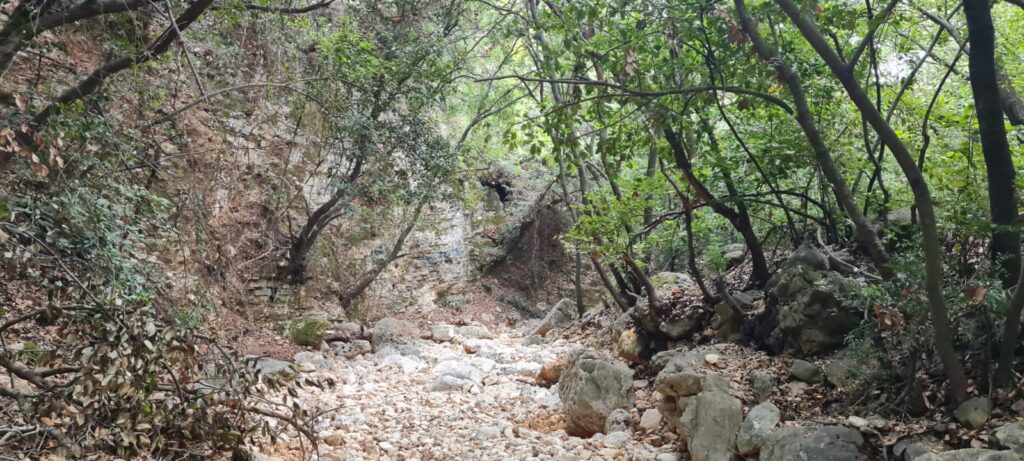 נחל בית העמק ועין מג'נונה - המעיין המשוגע