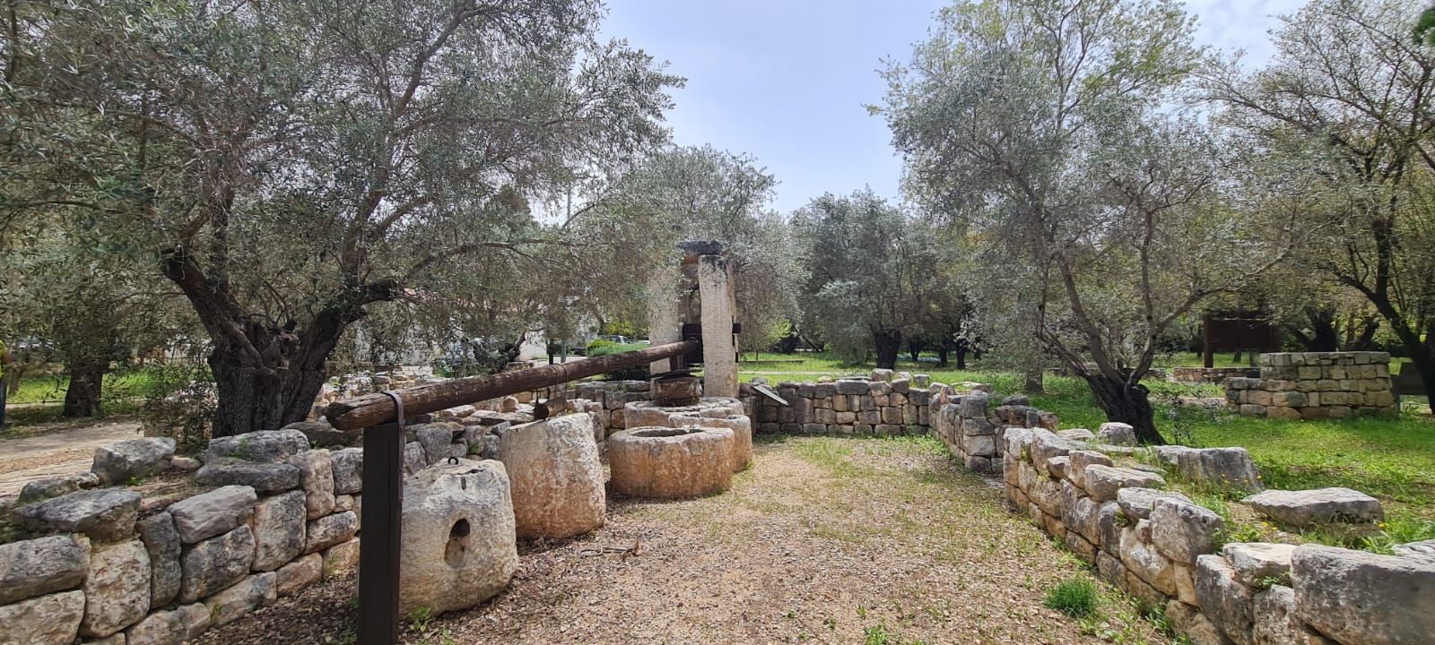 גן יערני ארכיאולוגי כברי