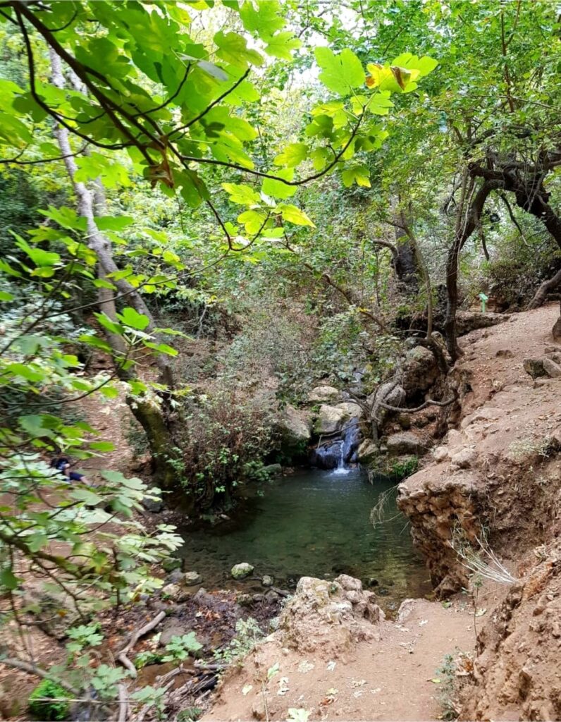 שמורת טבע נחל עמוד ונחל מירון עליון