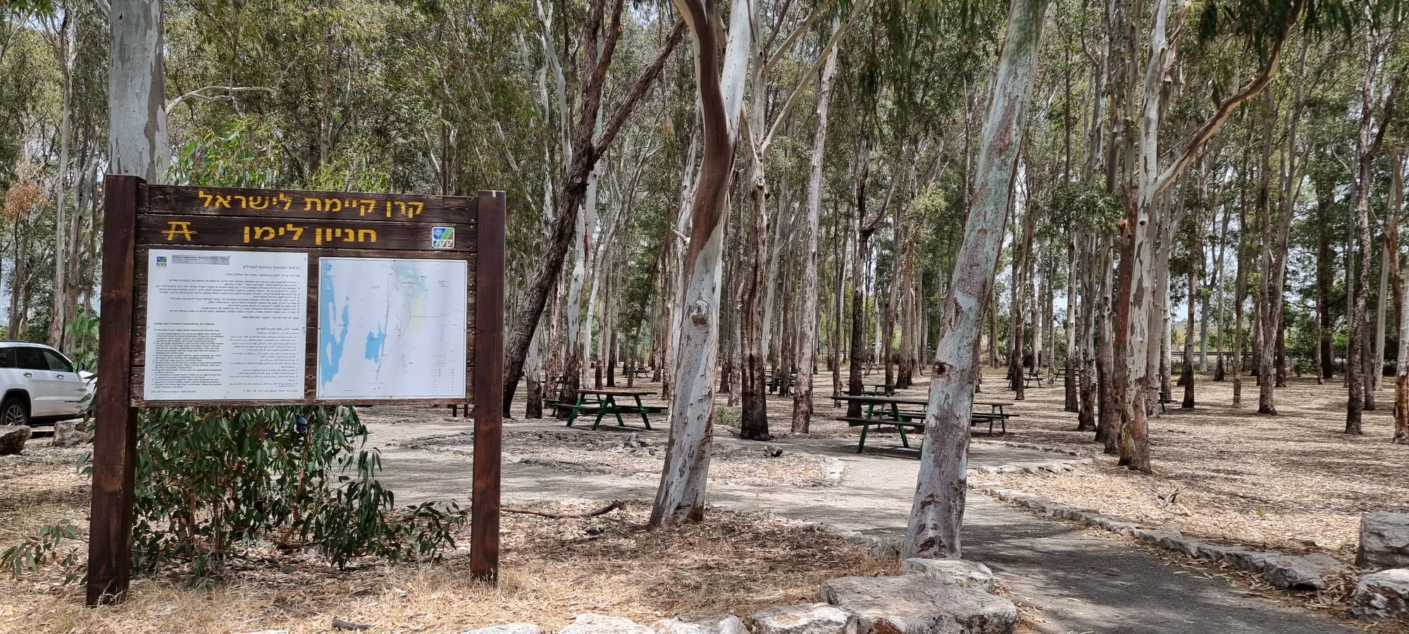 חניון לימן – פארק פיקניק בצפון