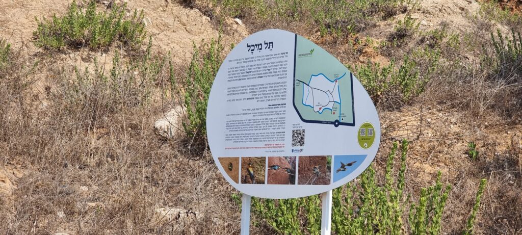 תל מיכל – טיול פריחה ותצפית על מרינה הרצליה