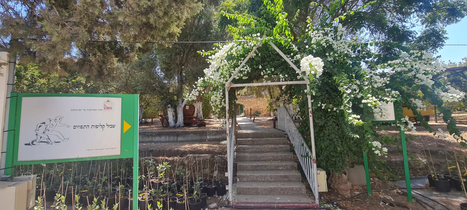 אתר הפרדסנות ע"ש מינקוב - מוזיאון הפרדסנות