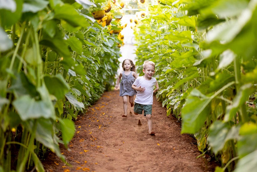 באדיבות: קלחים ומבוכים