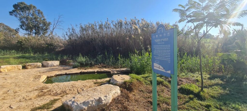 המעיין החבוי בטיילת המרחביות