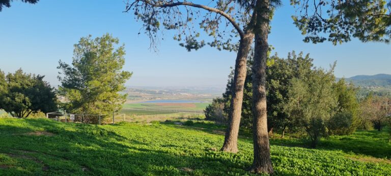 תל יזרעאל: תצפית ומסלול הליכה בלב עמק יזרעאל