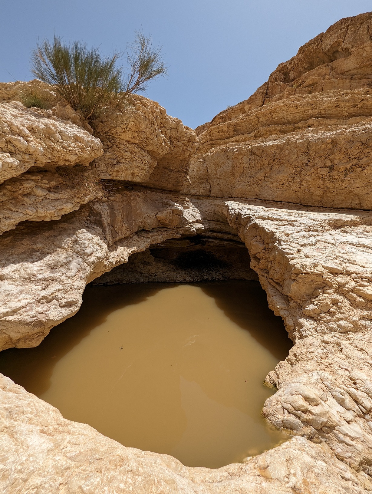 גב ימין: טיול בנחל ימין במכתש הגדול