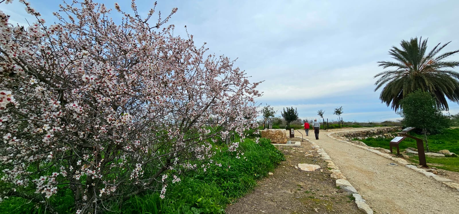 גבעת התיתורה במודיעין – טיול נגיש לכל המשפחה