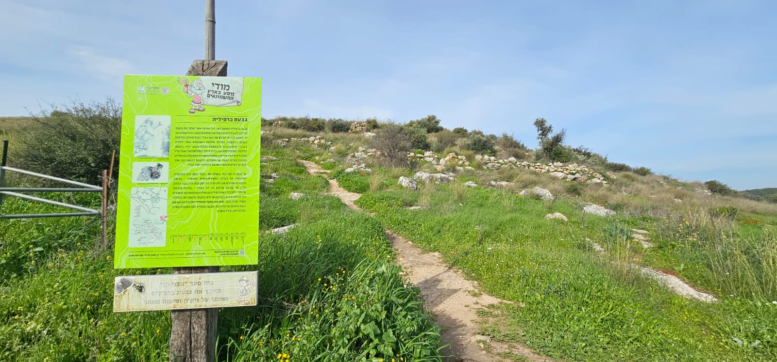 גבעת ברפיליה