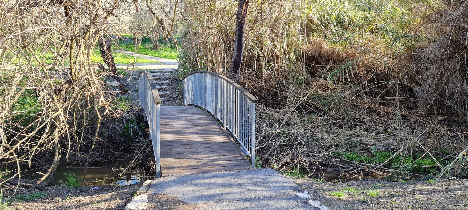 נחל מדרך עוז: מסלול קצר ונגיש