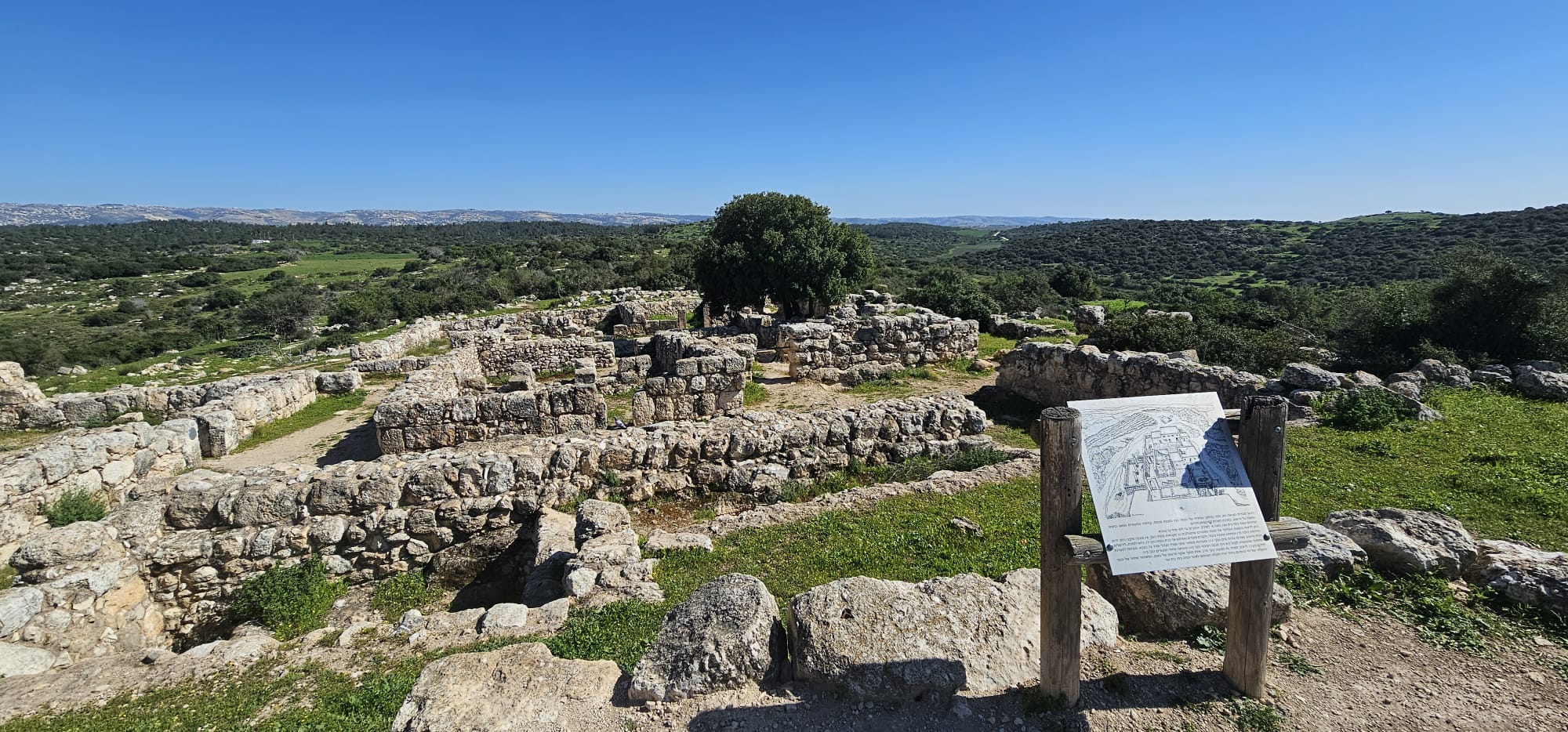חורבת עתרי בפארק עדולם: מסלול משפחתי בין גבעות מוריקות