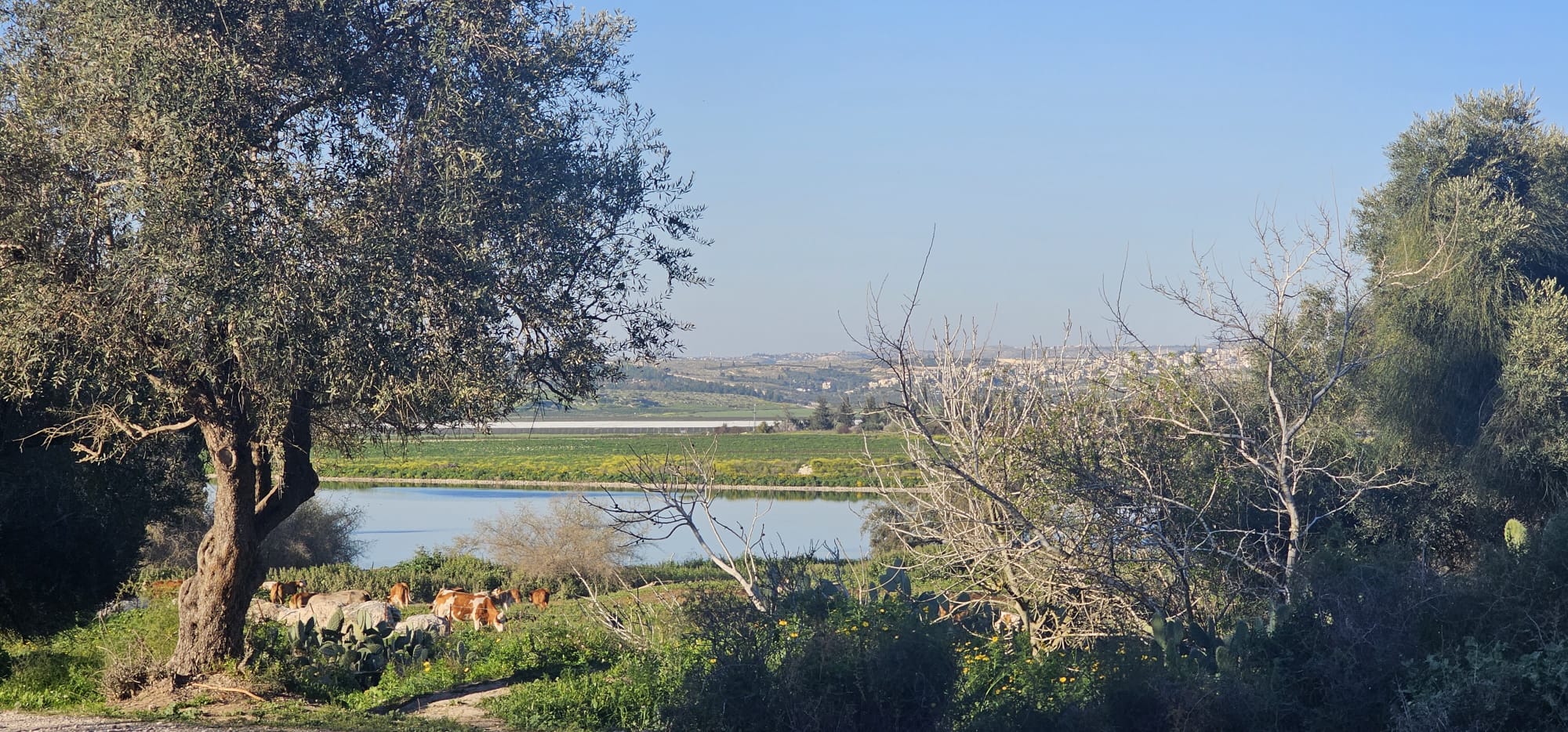 בית הקשתות במבוא חורון
