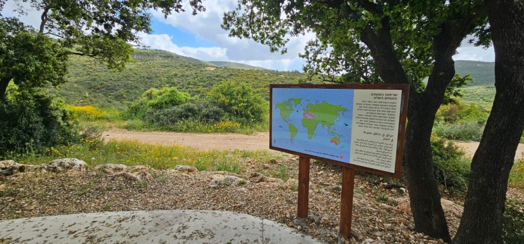 תחנה מספר 2 דרך האש: שריפות