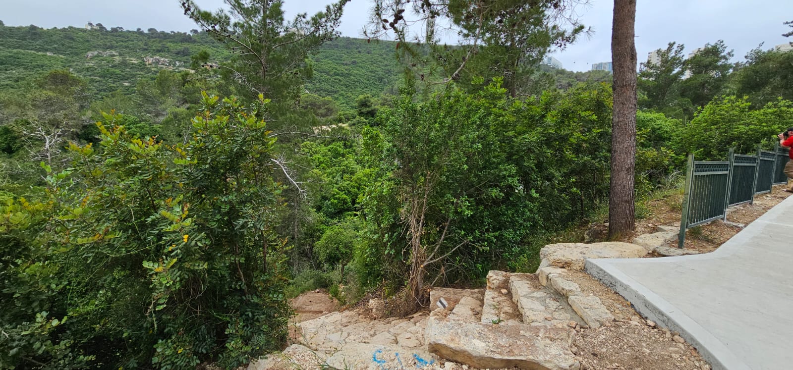 ירידה עם הסימון השחור חזרה אל קטיע דרך אורי