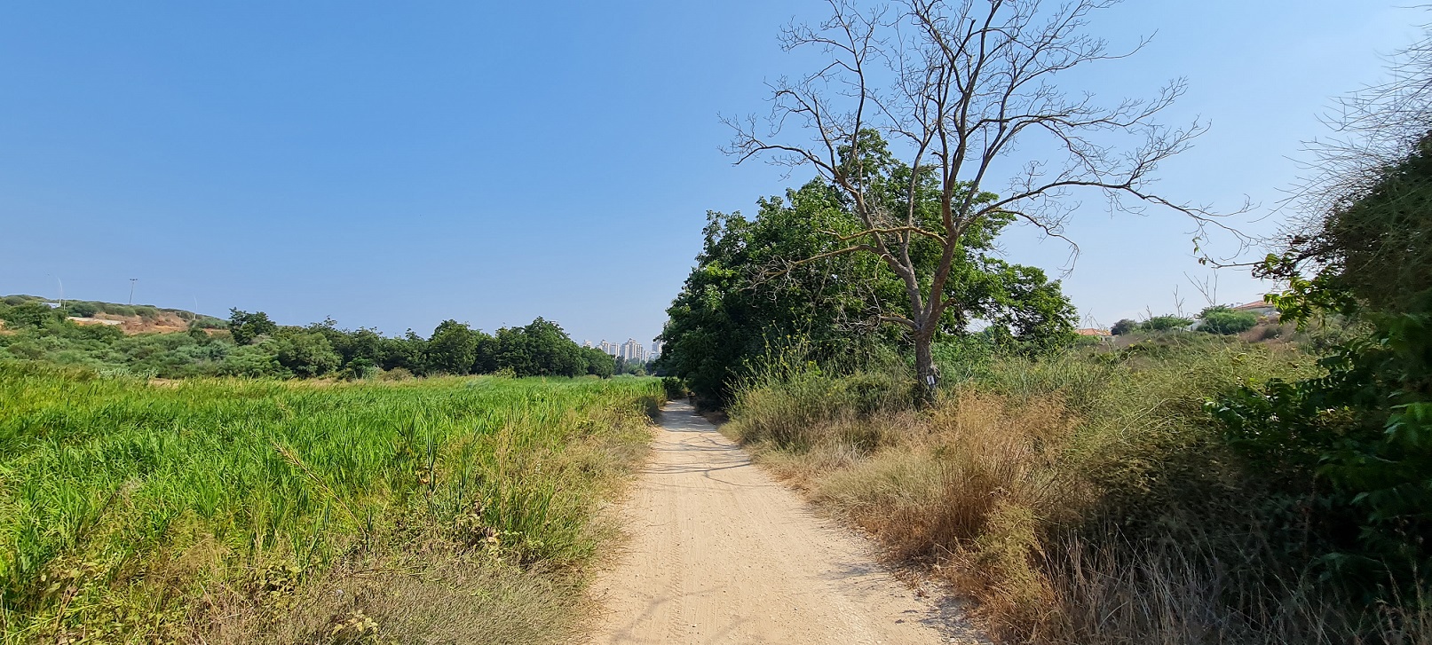 שמורת יקום ושער פולג