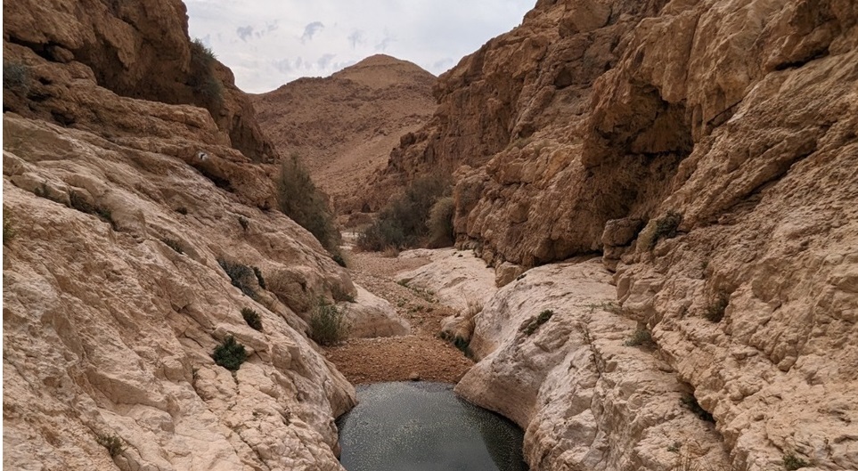 נחל צפית תחתון