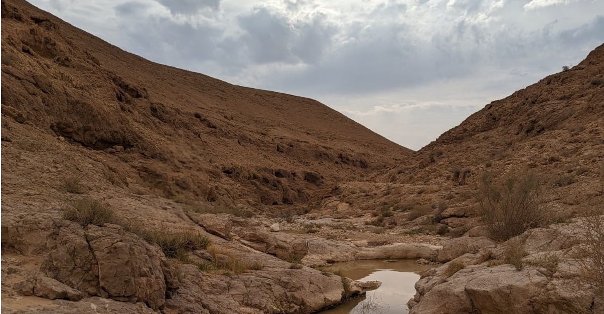נחל צפית תחתון: מסלול מדברי קניוני למשפחות מיטיבות לכת