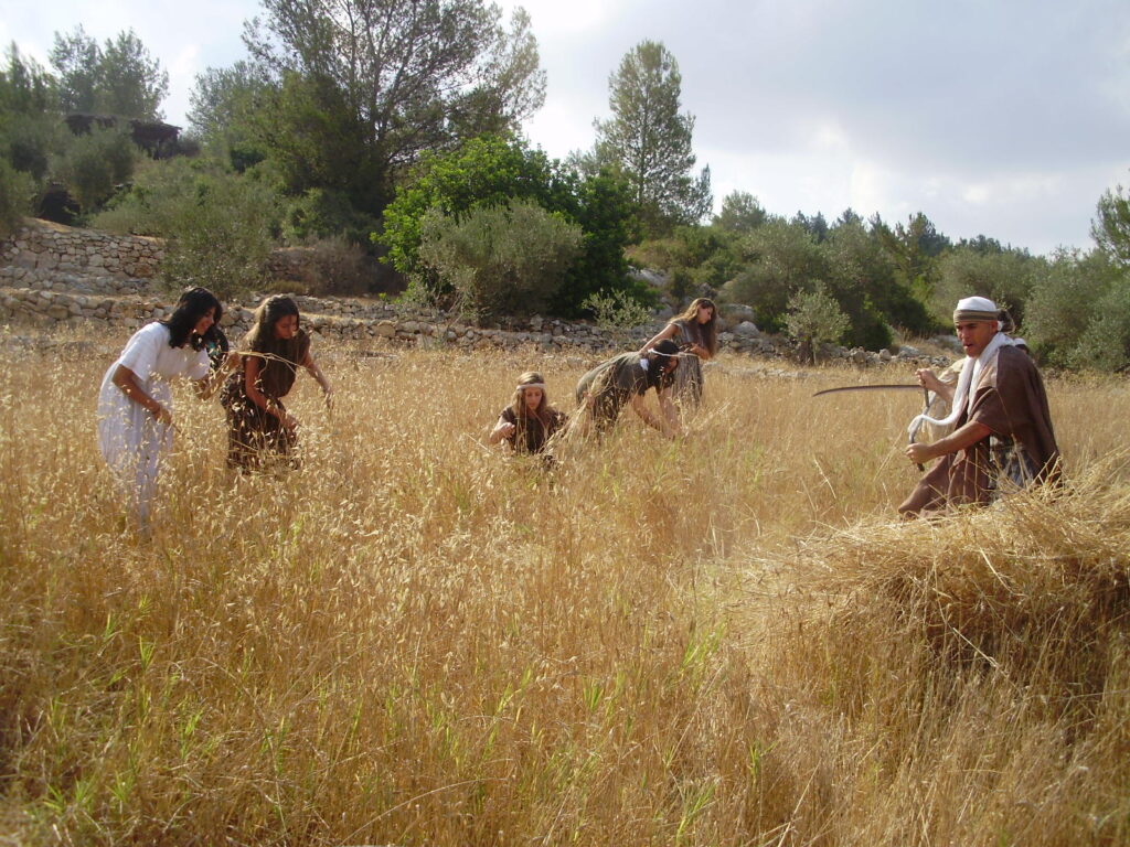 פסטיבל חגיגה בלבן צילום באדיבות פארק נאות קדומים