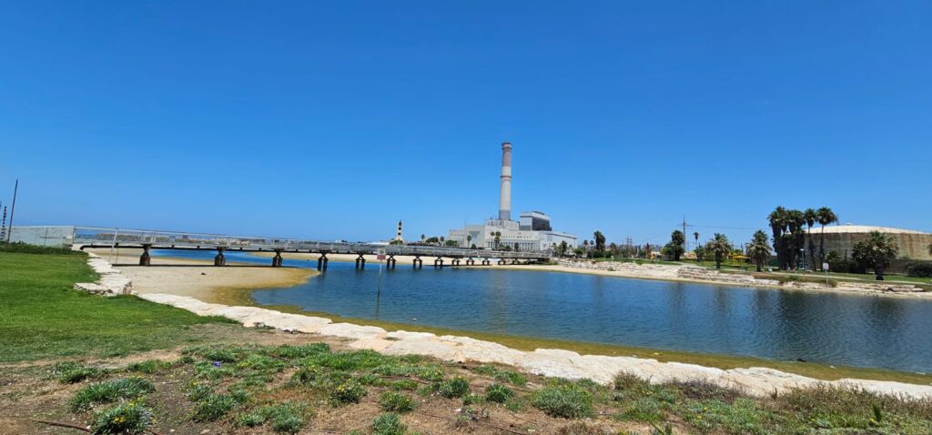 פארק רידינג תל אביב: מרחבים ירוקים, ים פתוח וטיילת רידינג נגישה