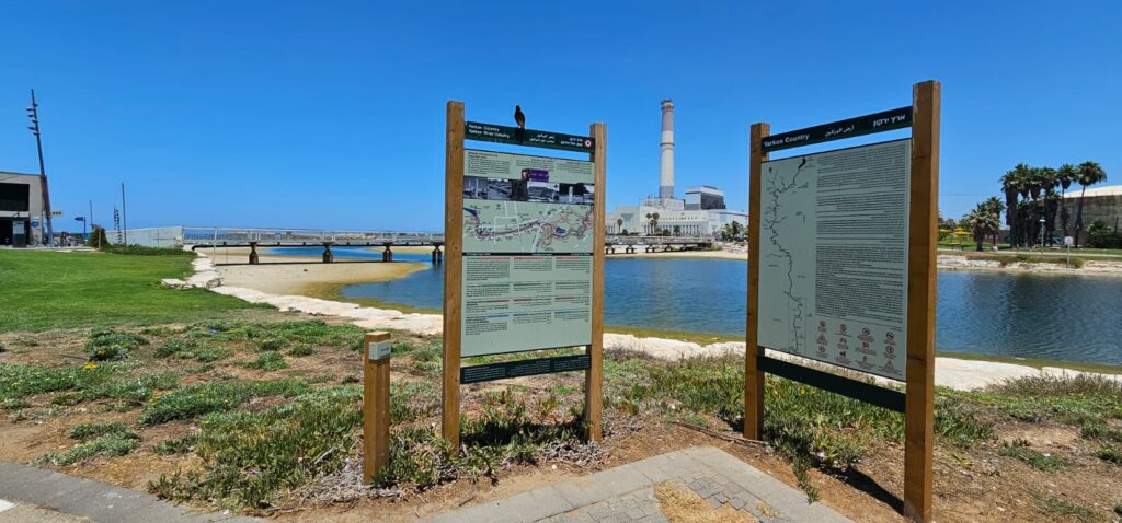 פארק רידינג תל אביב: מרחבים ירוקים, ים פתוח וטיילת רידינג נגישה